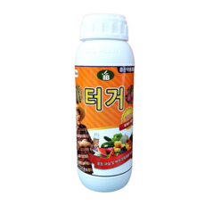 벼수확체험