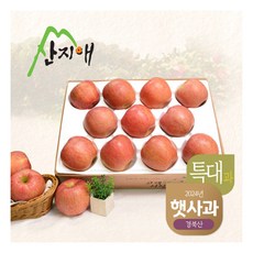 [산지애] [2024햇사과] 알뜰 못난이사과(대과) 4kg 1box, 상세 설명 참조