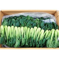 야채왕 비타민 2kg (실중량 1.8k~2.0k ) 다채 비타민 채소 이유식, 2000g, 1개