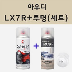 아우디 LX7R 몬순그레이 주문 스프레이 카 페인트 + 모비스 투명마감용스프레이 200ml