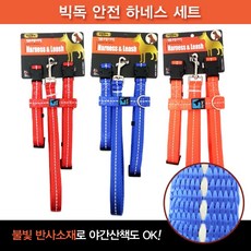 빅독치킨