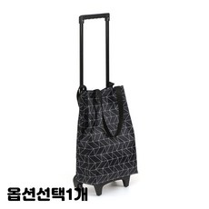 캐리어바퀴종류