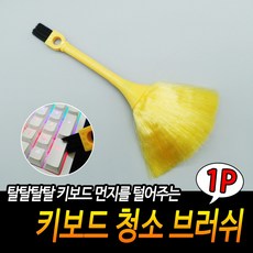 컴퓨터솔
