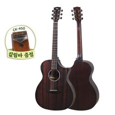 HEX HIVE Series F120C 어쿠스틱기타 칼림바증정!