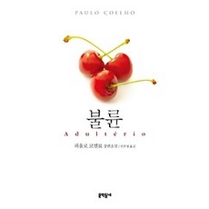 불륜소설