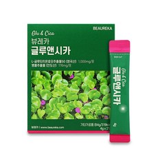 추천4 글루앤시카