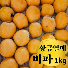 친환경 무농약 새콤달콤 국산 비파열매 1kg 신품종 완도 당일수확 햇 생과 생비파 살구 국내산 노지 담금주 효소 비파나무 열매 과일