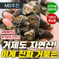 거북손제철