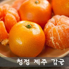 새콤달콤제주감귤(초록농산)-5kg 10kg, 1개, 5kg(작은귤)(S)