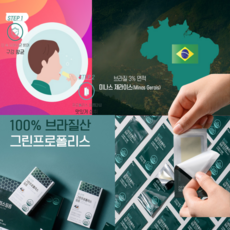 서울제약 프로폴리스필름형 브라질 그린프로폴리스 3개월분 효능 효과 면역, 3개, 2g