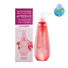 댕기머리 소윤 여성청결제 250ml 약국전용 pH4~5 약산성 쑥 녹차 자일리톨 함유, 1개