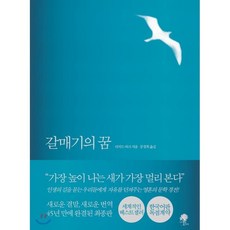 갈매기의꿈(범우문고28)