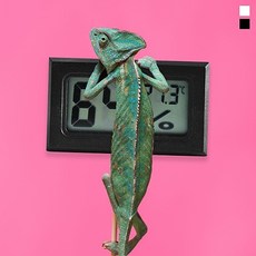 0cc1b4a9221b3152fa1794aeb3f47b054f1873f370b169c478583cf319c7.jpg