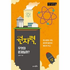 웅진북센 원자력 무엇이 문제일까 - 10대가 꼭 읽어야 할 사회.과학교양 16, One color | One Size, One color | One Size