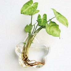 벽걸이 꽃모양 꽃병