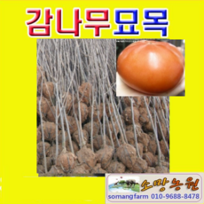 1c845aba8890a6e42ce8e1769c394dd3fbd1a361aea2511b899ccb5d74f8.png