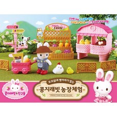 호두까기인형발레대구