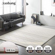 아소방1+1