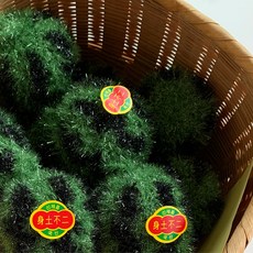 수박수세미