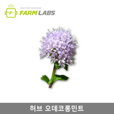 95662e99979a623e59f23527656dc611c73776227968de0710267b356cd8.png