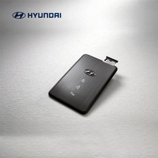 그랜저르블랑카드키