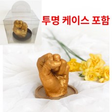 손모양석고