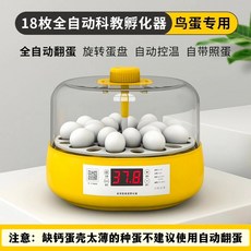 병아리부화기 인큐베이터 자동 알 유정란 자동부화기 병아리 부화기, 18개 특수 인큐베이터