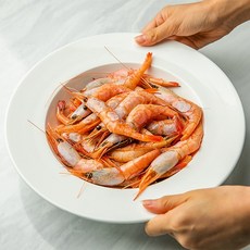 통새우미도바