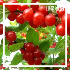 f60d61b5ebb2e54d91526d30b482cb7389c86e5a3f7c679f9a1f3a32247a.jpg