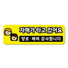 라쿤마켓 차량용 자석 스티커 총29종 초보운전 아이가 타고 있어요 임산부가 타고있어요 강아지가 타고있어요 어르신운전중 혈액형 장애인 도로주행 연수용 탈부착 반사, 10_자매가타고있어요, 1개