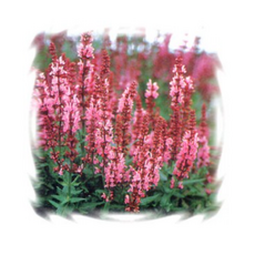 d1cbf8f8d50fd51189f118adb311831dec731674ad2b5a7560d104d8c7b2.png