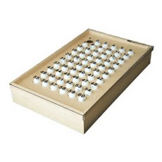 에라토스테네스