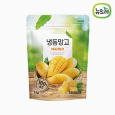 뉴뜨레 냉동 망고 다이스 1kg, 1kg(1개), 1개