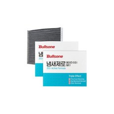 그랜드카니발카오디오