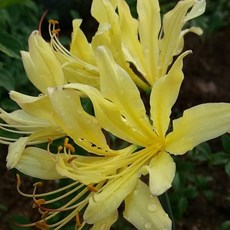 5a0d75bd0381e524e10410dd6070cb9cf25106b5bdddd7ff82b937103c45.jpg