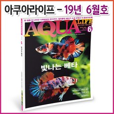 아쿠아라이프 아쿠아라이프 2019년 6월호