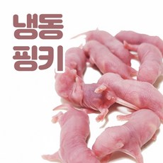 냉동 핑키, 1개