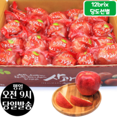 [오전8시 주문건 당일발송] 12브릭스 당도선별 세척사과 3kg (16~21입 소과), 1개