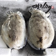 대천해 손질 갑오징어 1kg(500g X 2팩)