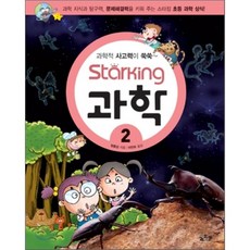 초등생스타킹