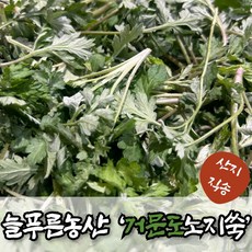(늘푸른NS) 여수 거문도 해풍 맞고 자란 노지재배, 1박스, 거문도 노지쑥 500g