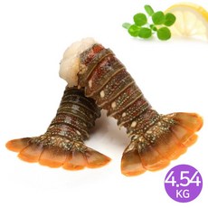 //상품명