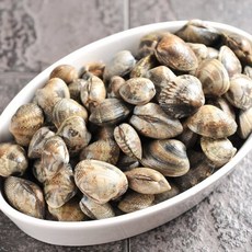 대풍수산 해감 바지락 1kg X 5팩, 5개