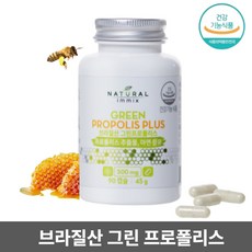 면역력영양제 브라질그린프로폴리스 폴라폴리스 프로폴리스영양제 그린폴리스 초록 프로폴리스 캡슐 브라질산 PROPOLIS 플라보노이드 폴리폴리스 플로폴리스 프로플리스 내추럴이믹스 90T