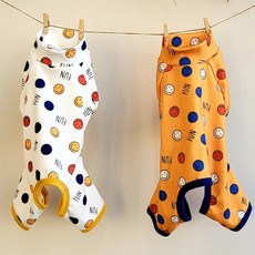 폭스바겐중고올인원