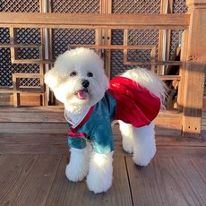 만들기 패턴 - P1690 - Dog hanbok(강아지 한복 여아), 1개