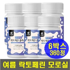 비만운동인슐린