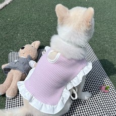 벨시호
