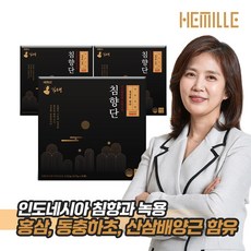 김소형침향단