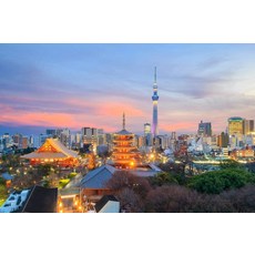 도쿄크레이지파라다이스